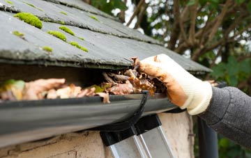 gutter cleaning Townhead